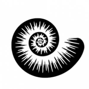 South Coast Fossils - Highcliffe logo